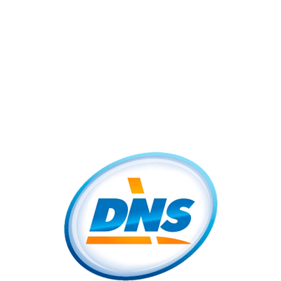 ЛоготипDNS